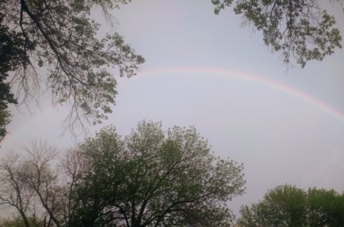 Rainbow in the sky